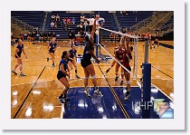 Set 1 * (139 Slides)